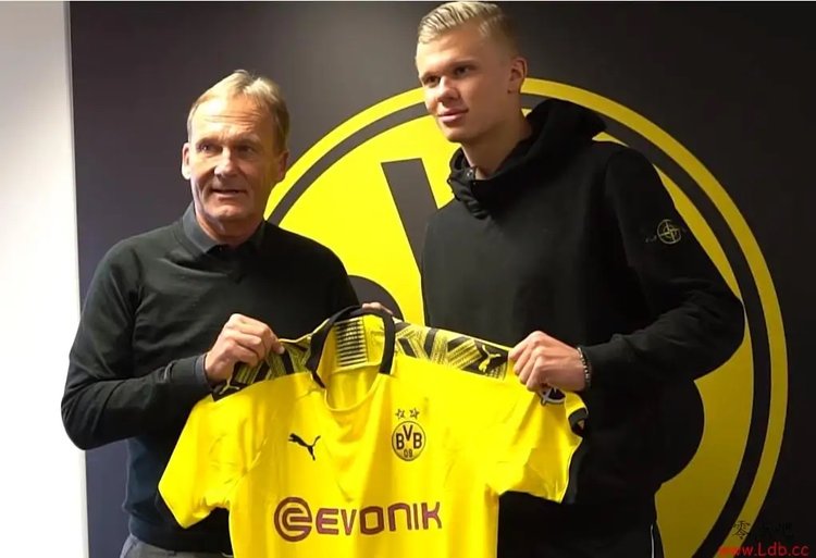 本赛季下半程的国安在成绩层面给了球迷们深刻的落差